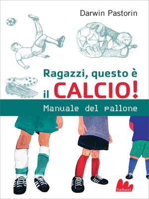 cover image of Ragazzi, questo è il calcio!